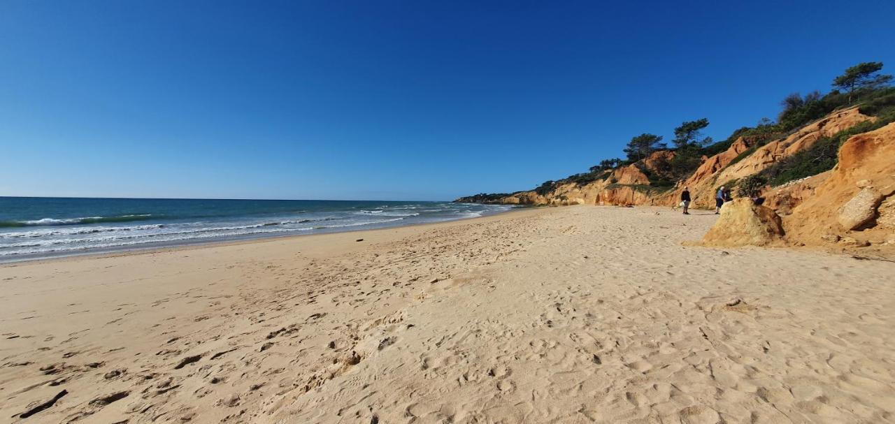 Apt P209 Situe Au Sein De Balaia Golf Village 阿尔布费拉 外观 照片